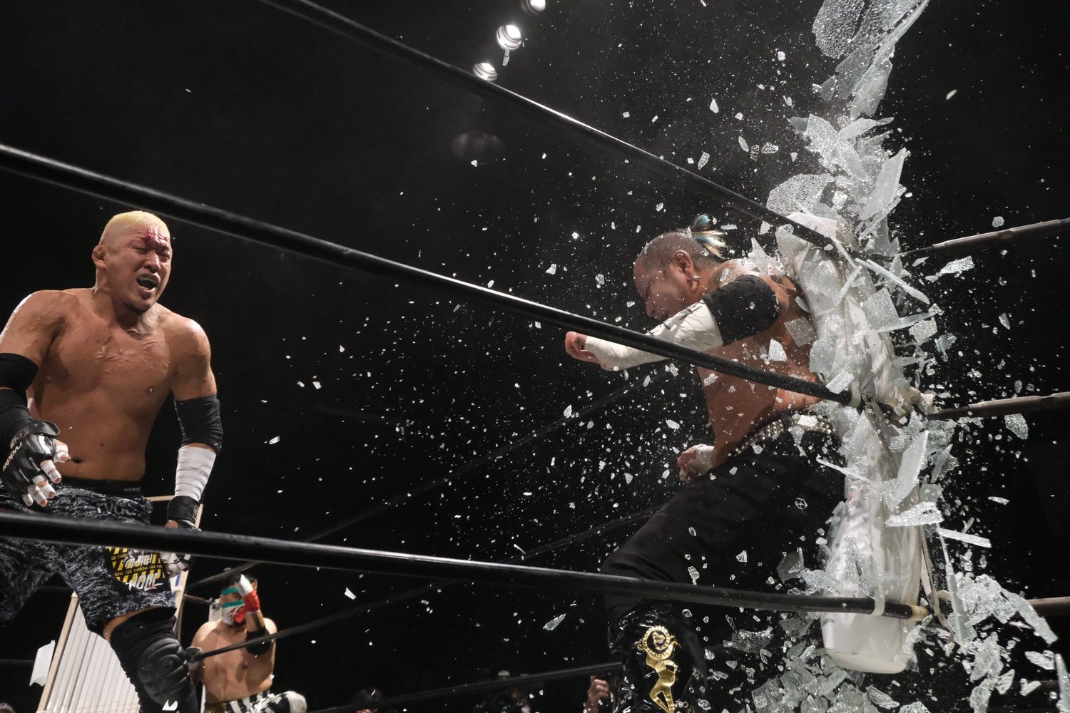 (写真をクリックすると「この記事の写真」にとびます。流血等の過激な写真を含みますのでご注意ください)