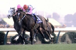 【トウカイテイオー編】〈奇跡の復活劇〉3度の骨折を乗り越えたトウカイテイオーが「93年の有馬記念」でビワハヤヒデを抜き去った瞬間