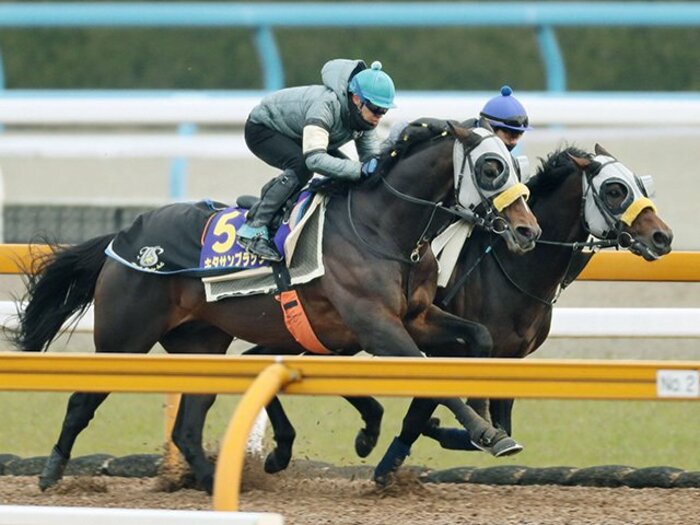 GI昇格大阪杯で武豊7勝目なるか。キタサンに思い出す、ある名馬。＜Number Web＞ photograph by Kyodo News
