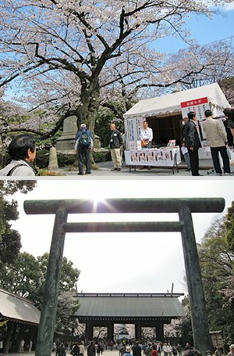 宴会自粛の千鳥ヶ淵、上野、谷中。桜の下で震災後の日本を考えた。(5)