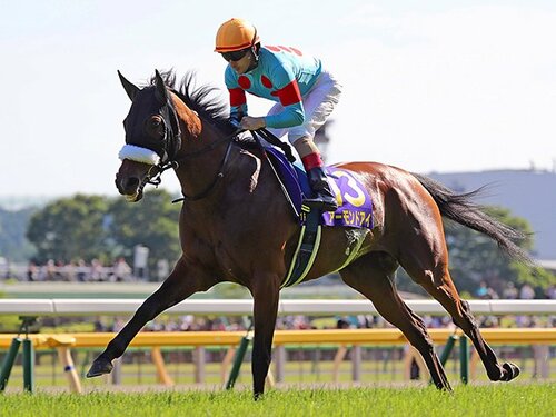 競馬　アーモンドアイ　秋華賞　コンプリート　3体 sddefault.jpg