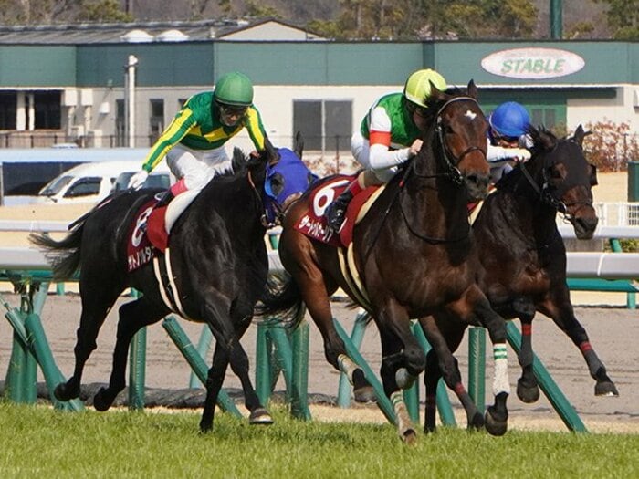豪華メンバー宝塚記念の主役は、牝馬勢かサートゥルナーリアか。<Number Web> photograph by Satoshi Hiramatsu