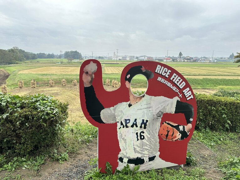 【田んぼ】水沢市内の田んぼアートはもう終わっていた